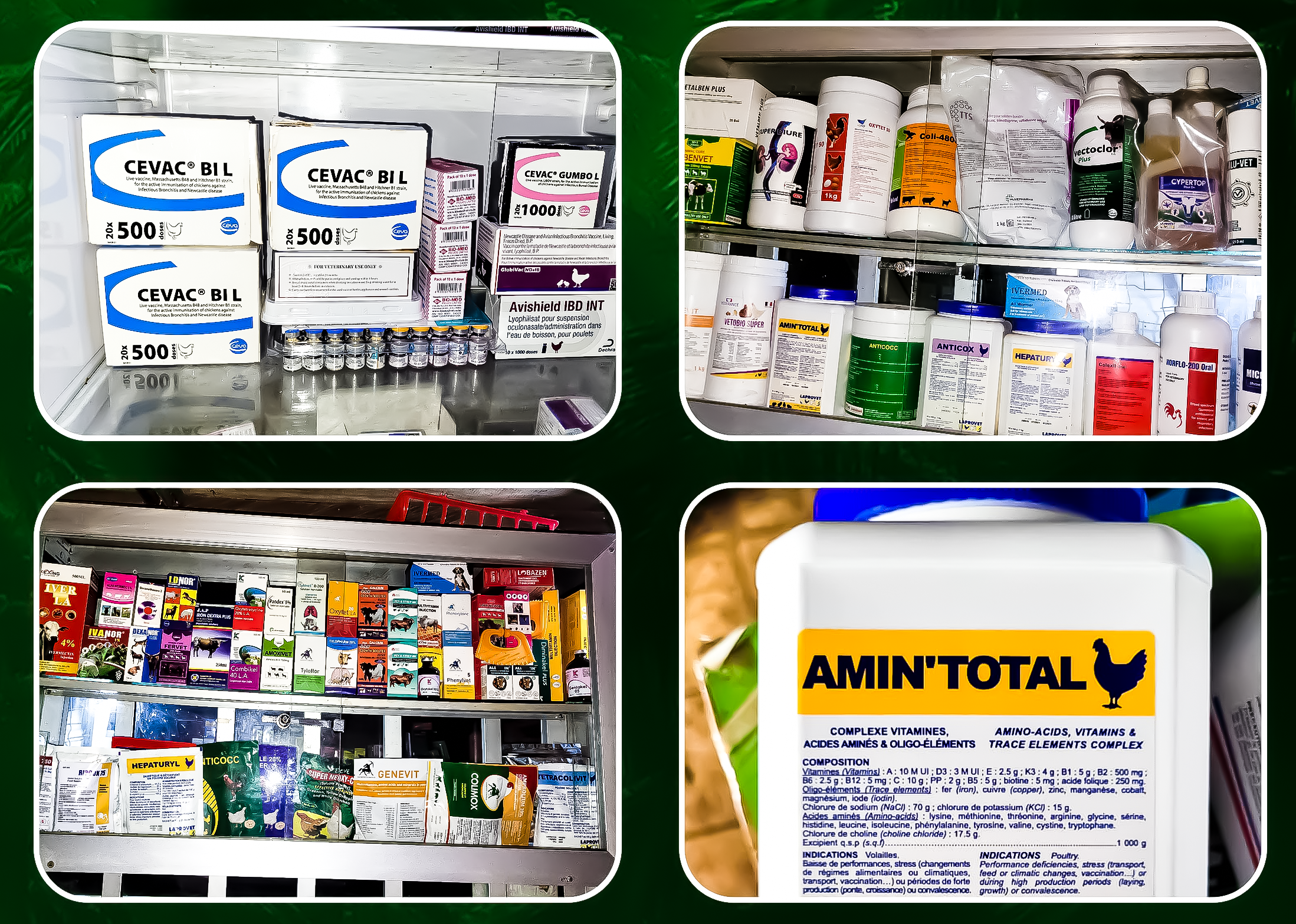 animal drugs and vaccines albarkagroup.org